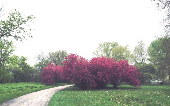 I have no energy or motivation